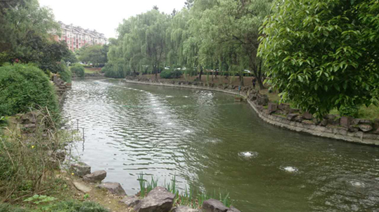 QQ截图20190503143759.png
