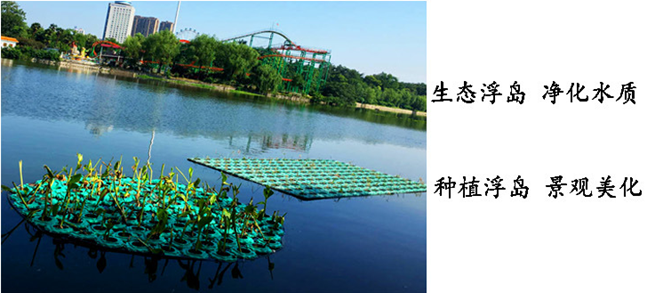 QQ截图20190503160748.png