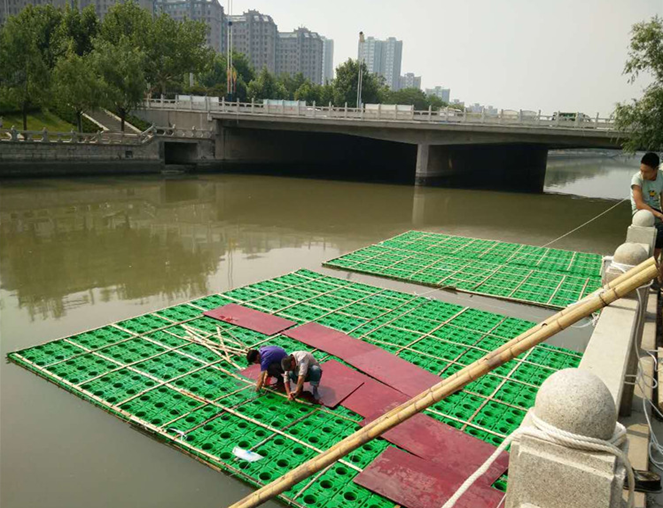 QQ截图20190503161039.png